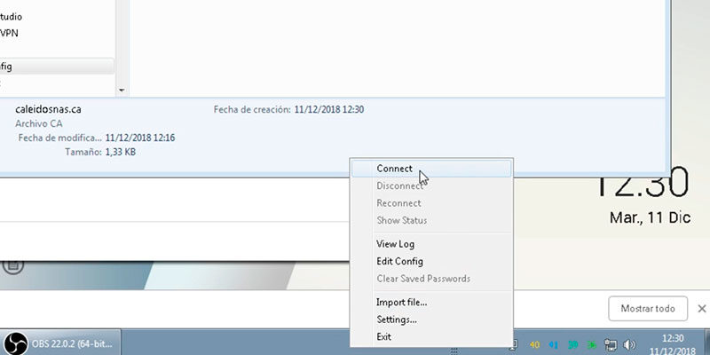 Paso 7 OpenVPN con QNAP