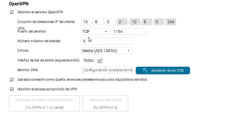 Paso 2 OpenVPN con QNAP