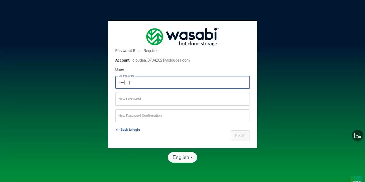 Wasabi
