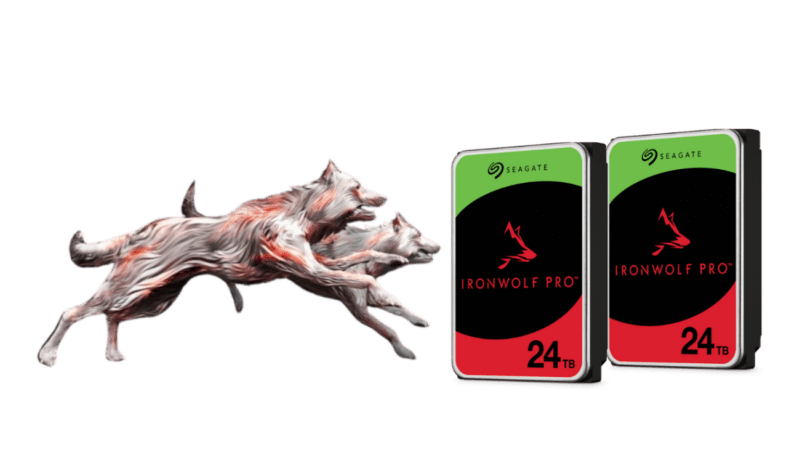 IronWolf Pro 24 TB.